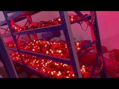 RGB 3D Hanging Ball Curtain 50mm For Christmas Holidays