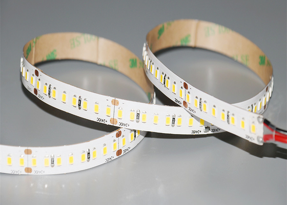 24V 240 Led/M LED Strip Lights Warm White 3000K 16.4 Ft 5m IP20 2835 SMD