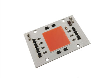 50W 380-780NM DRIVER ON BOARD And  CHIP ON BOARD LED GROW LIGHT COB