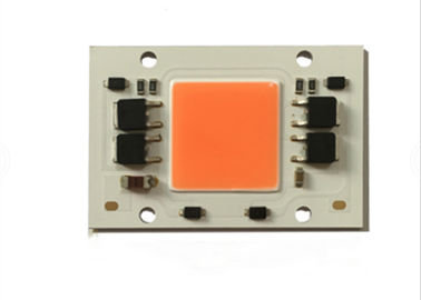 Factory Price Driverless Full Spectrum Led Chip 100 Watt COB Led For Grow Light