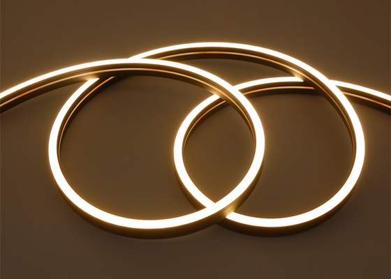 DC12V Input Voltage Black LED Neon Strip Versatile Lighting Solution With 120LED/M