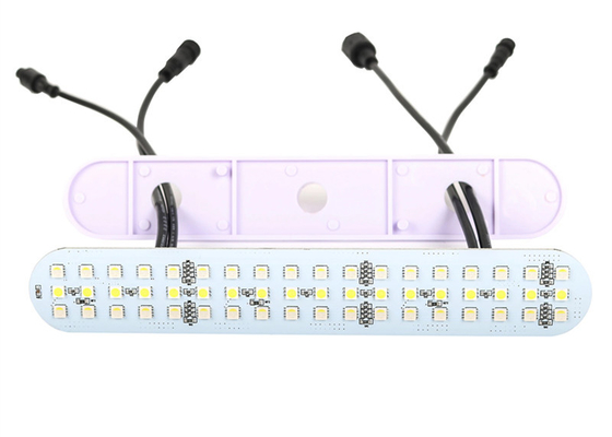 24V DMX512 RGBW Led Pixel Module Lights For Amusement Rides Waterproof IP67