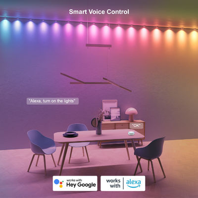 Addressable RGB IP68 Waterproof LED Eave Lights For Christmas Decoration