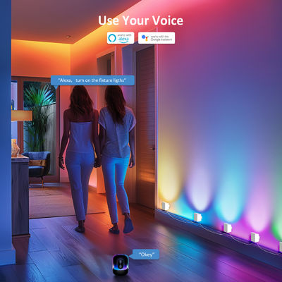 Bluetooth control Addressable RGBCW Smart Wall Sconces / Eave Lights For Christmas Decoration