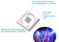 3 Years Quality Guaranteed Chip 460-470nm Blue 0.5W 3.0*3.0mm SMD Led COB Chip For Led Stage Lights And Led Grow Light